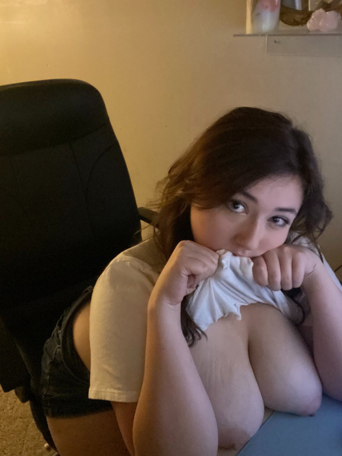 Chubby Discord Kitten #cFVQGxew